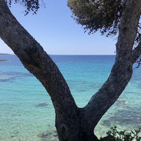 Les Baux 2 Sanary Sur Mer Ngoại thất bức ảnh